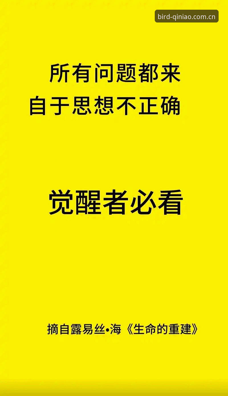 小鸟棋牌安卓版安装失败 小鸟棋牌安卓版安装失败全面解析:从问题根源到完美解决方案